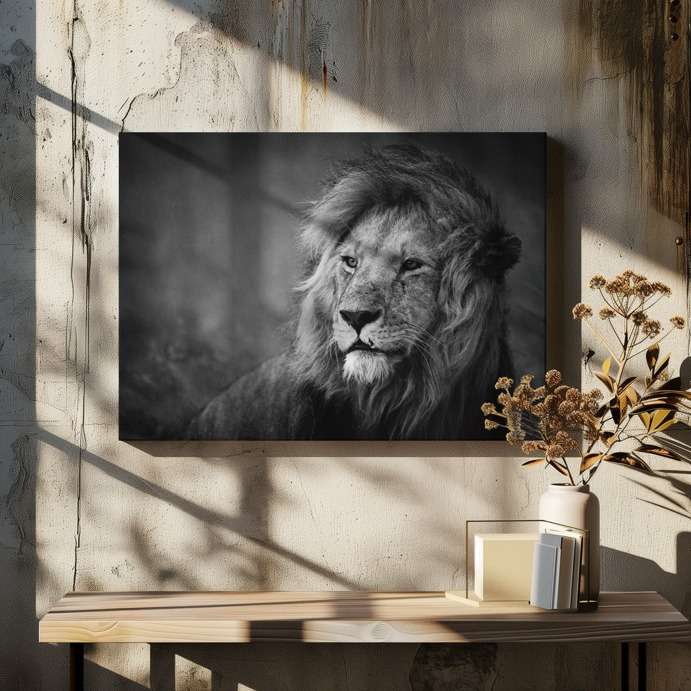 Wall art Regal. Lion