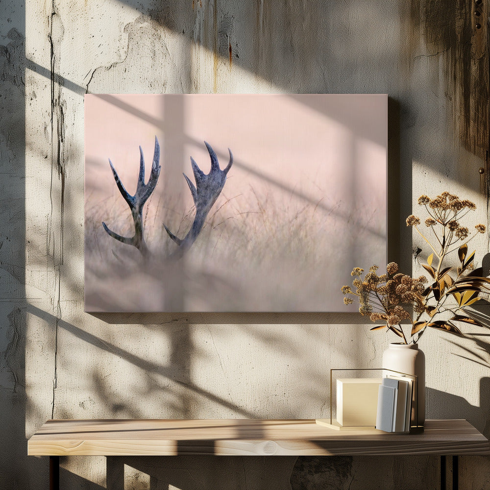 Wall art Hide & Seek ( Horn of Stag)