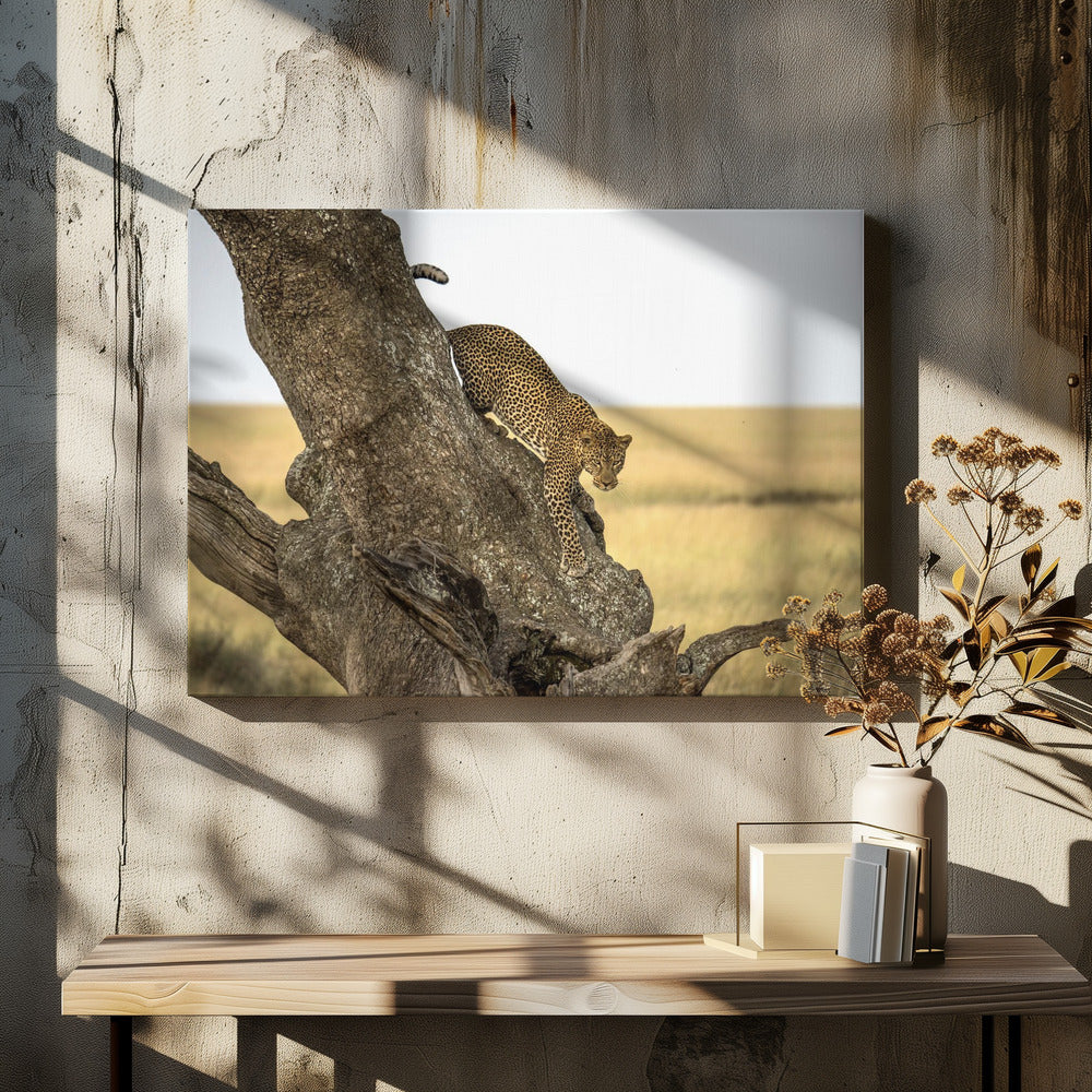 Wall art Leopard - Serengheti, Tanzania