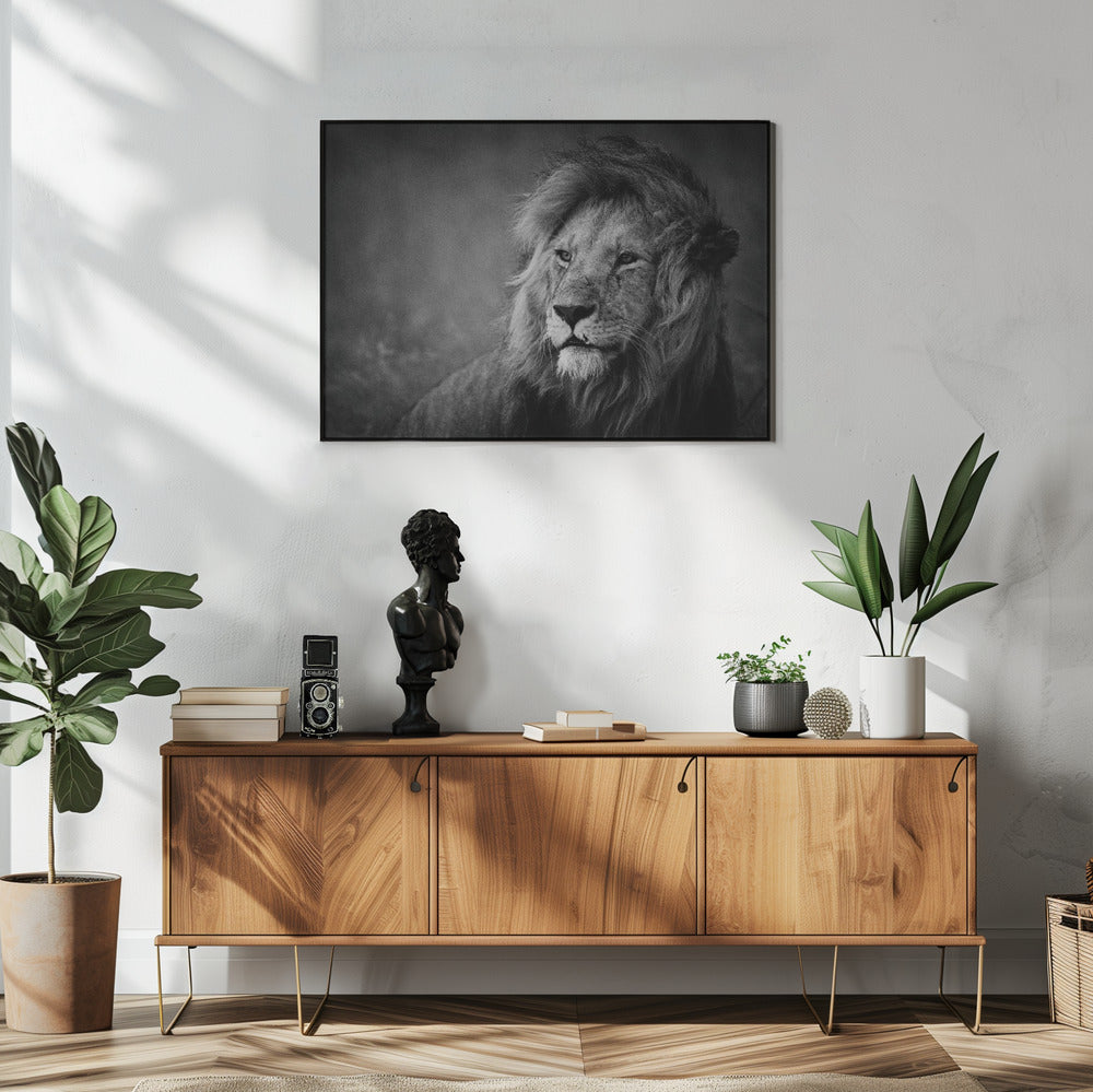 Wall art Regal. Lion