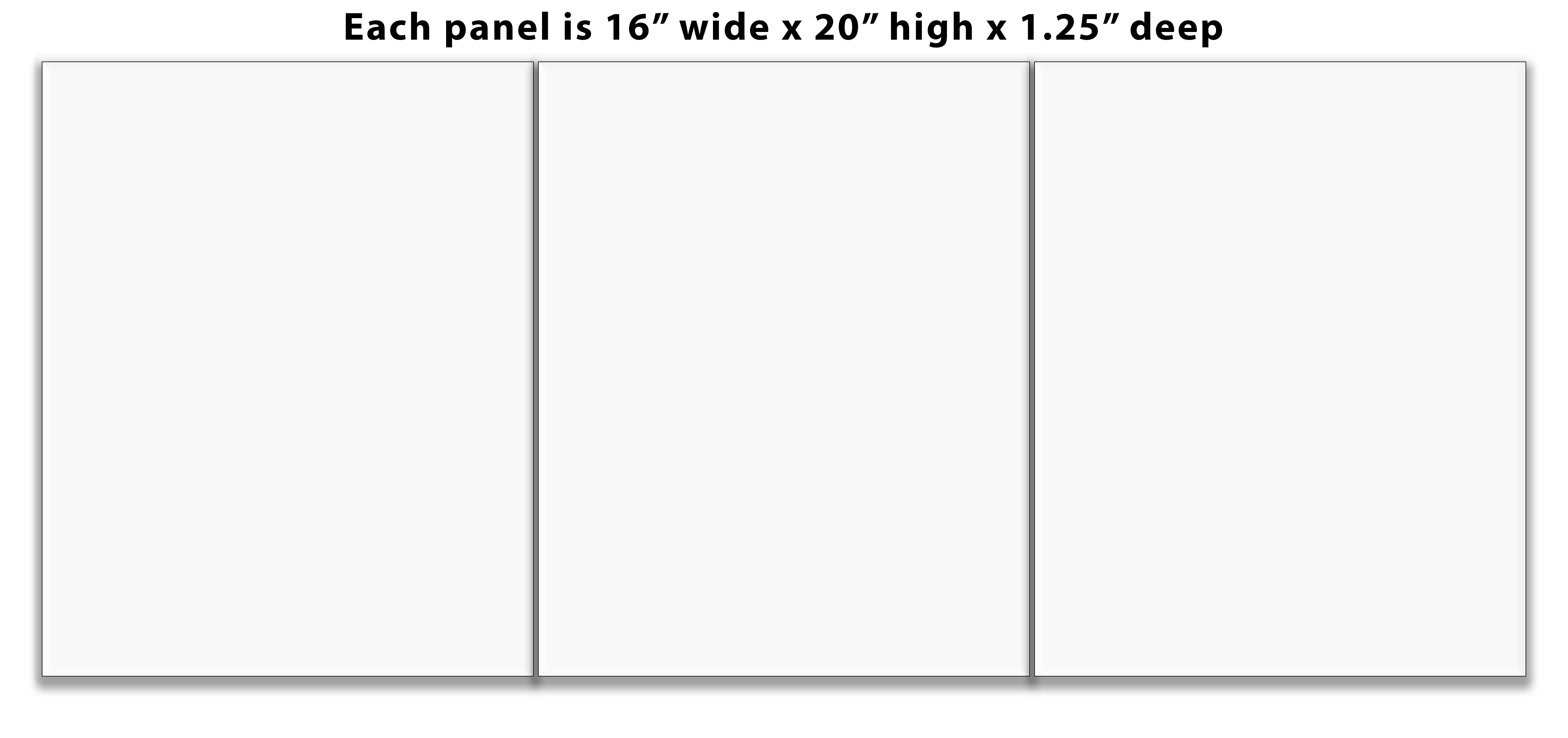 3 panels Triptych 16" x 20" each Panel