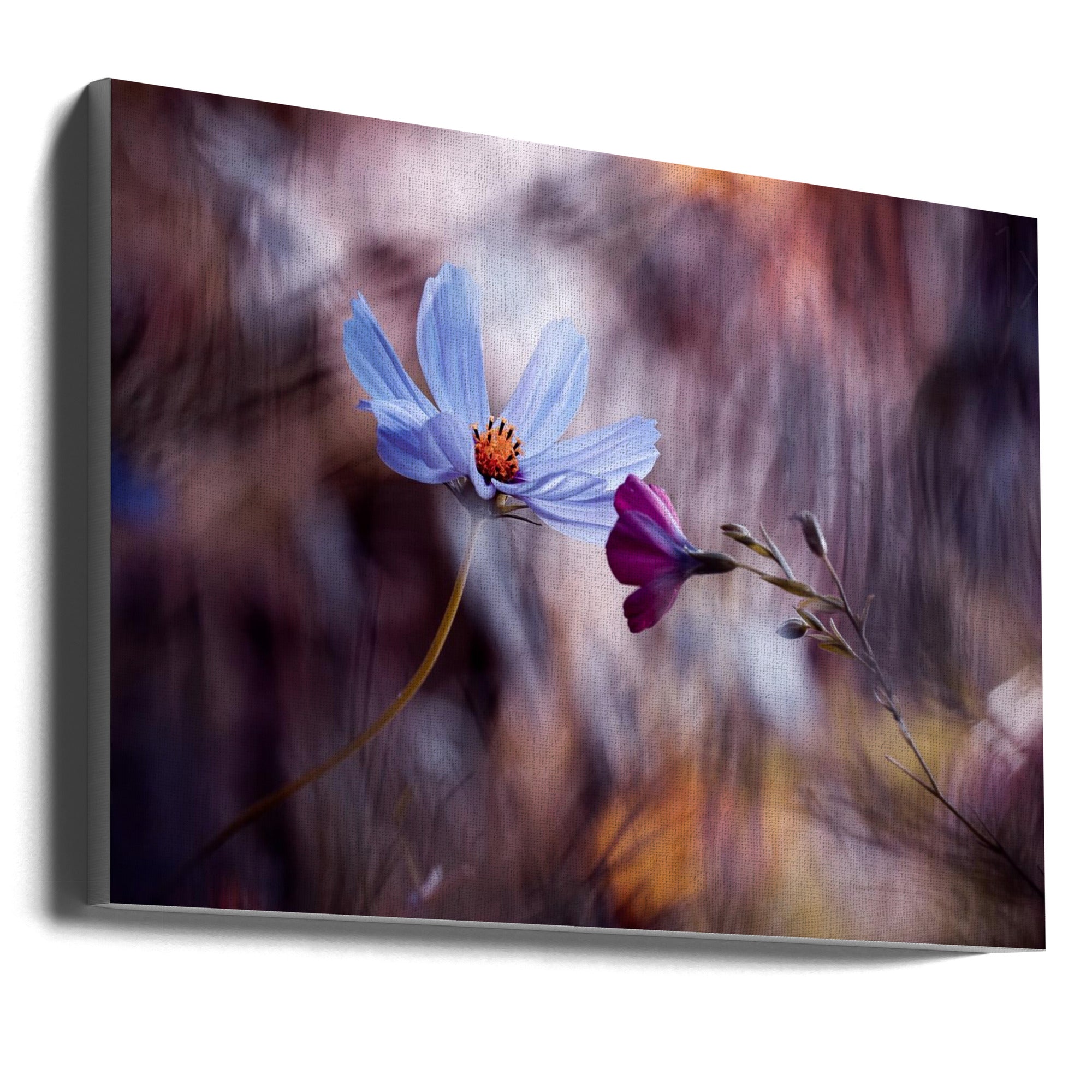 Wall art Le rendez vous