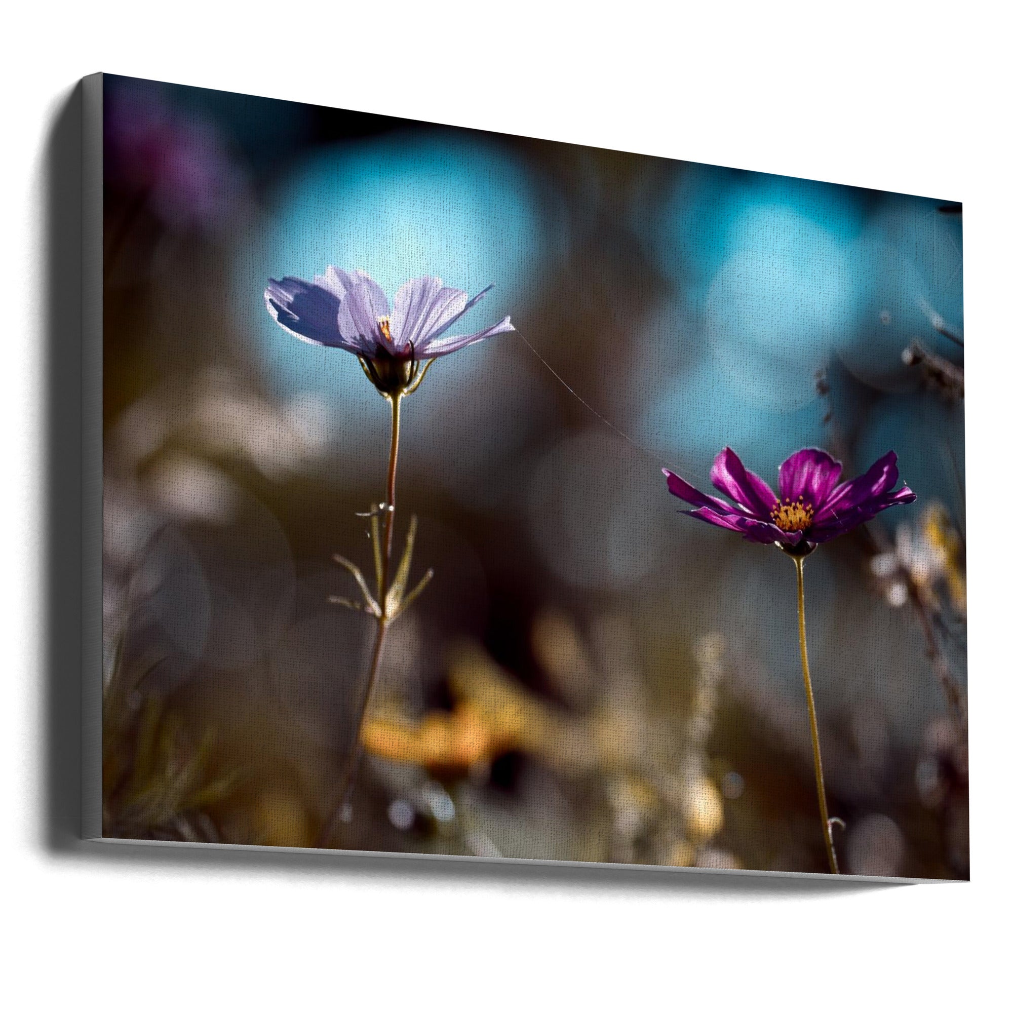 Wall art Le lien