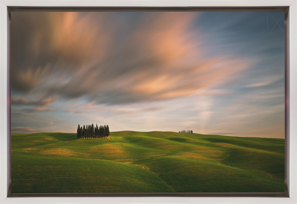 Wall art Fields...